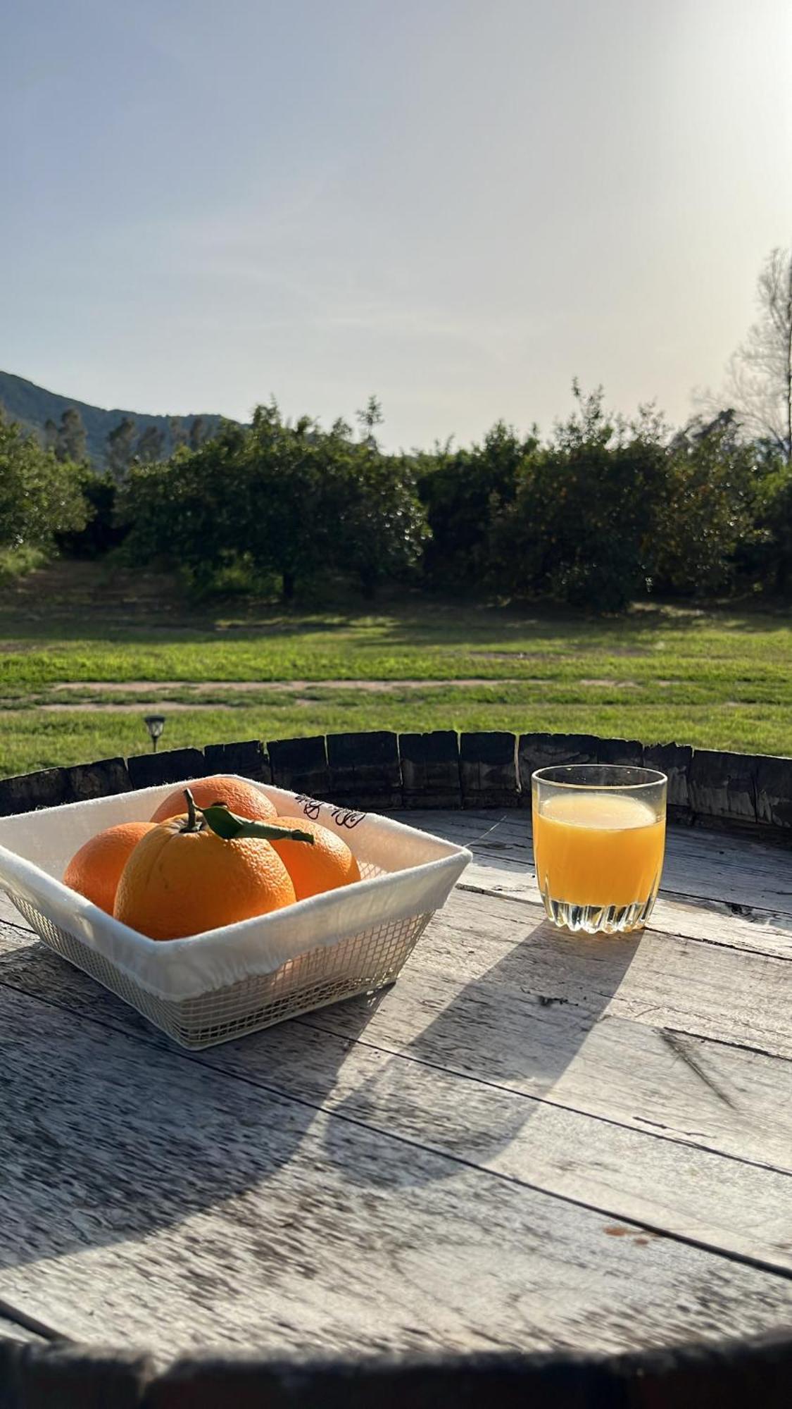 Bed and Breakfast Bidd'E Majori San Priamo Zewnętrze zdjęcie