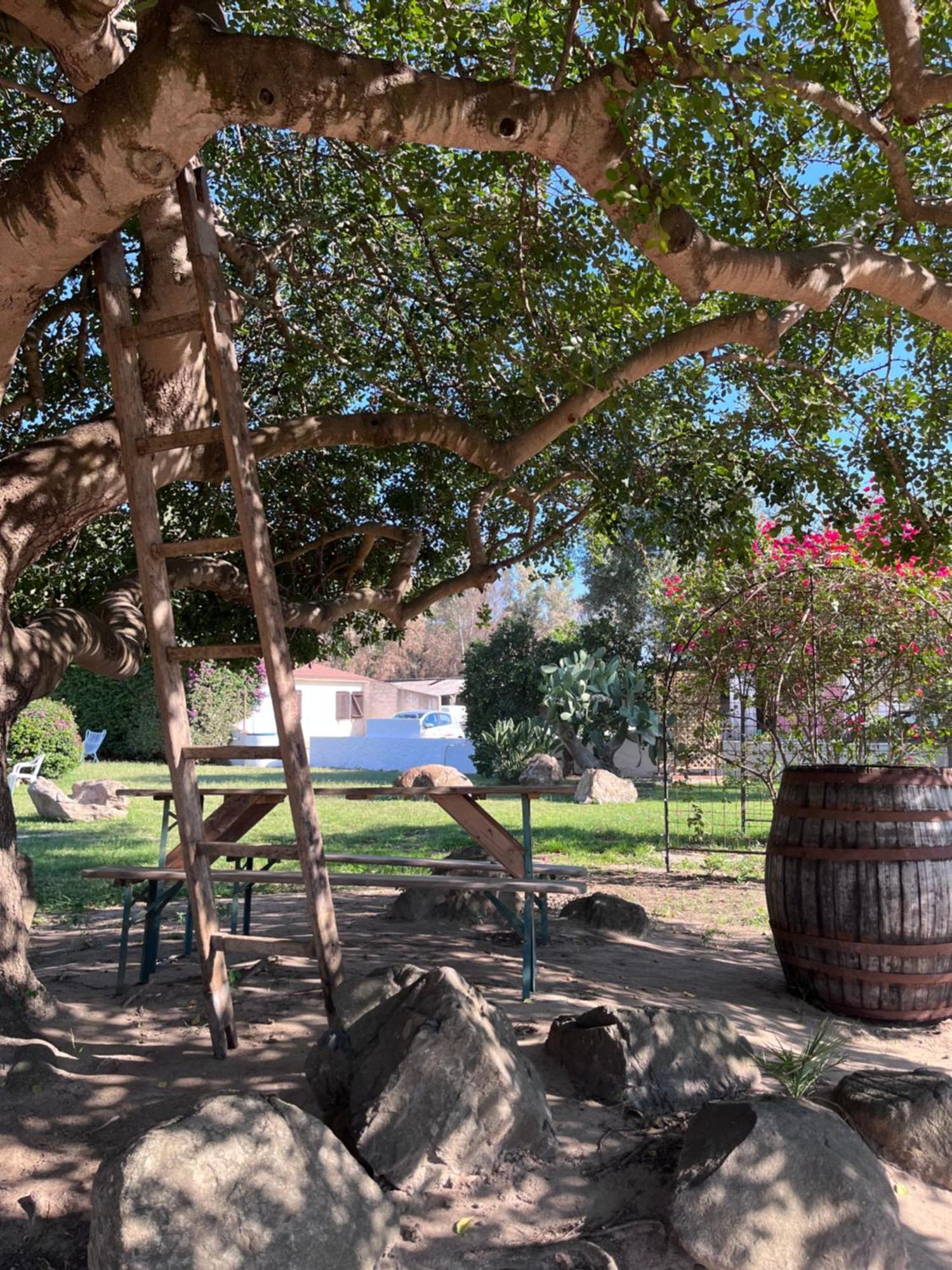 Bed and Breakfast Bidd'E Majori San Priamo Zewnętrze zdjęcie