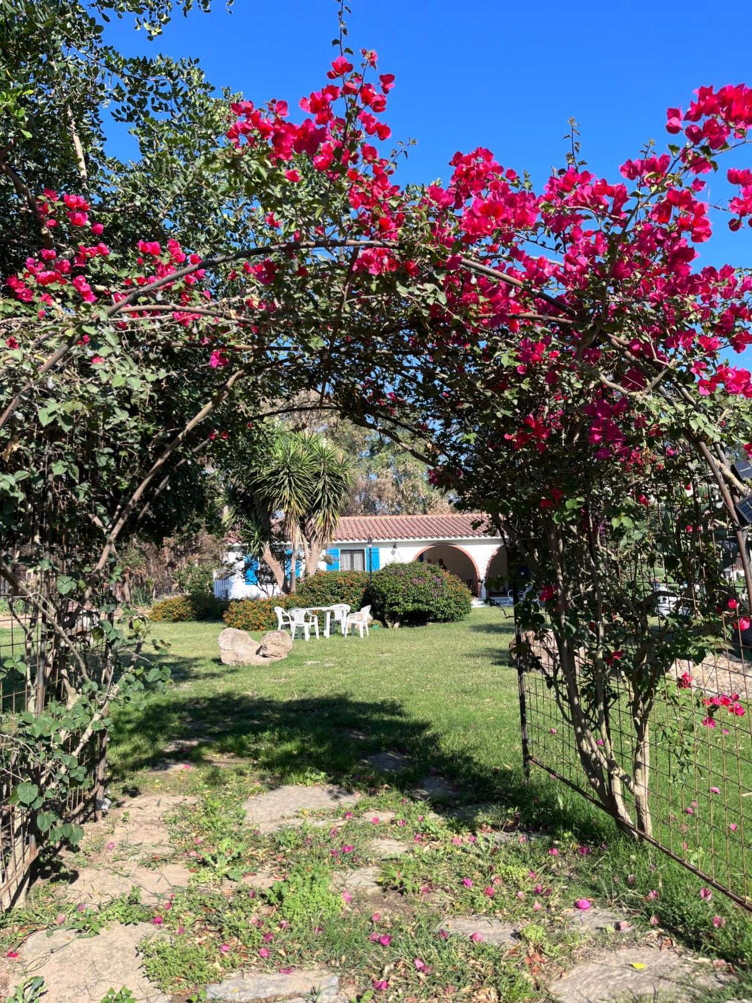 Bed and Breakfast Bidd'E Majori San Priamo Zewnętrze zdjęcie